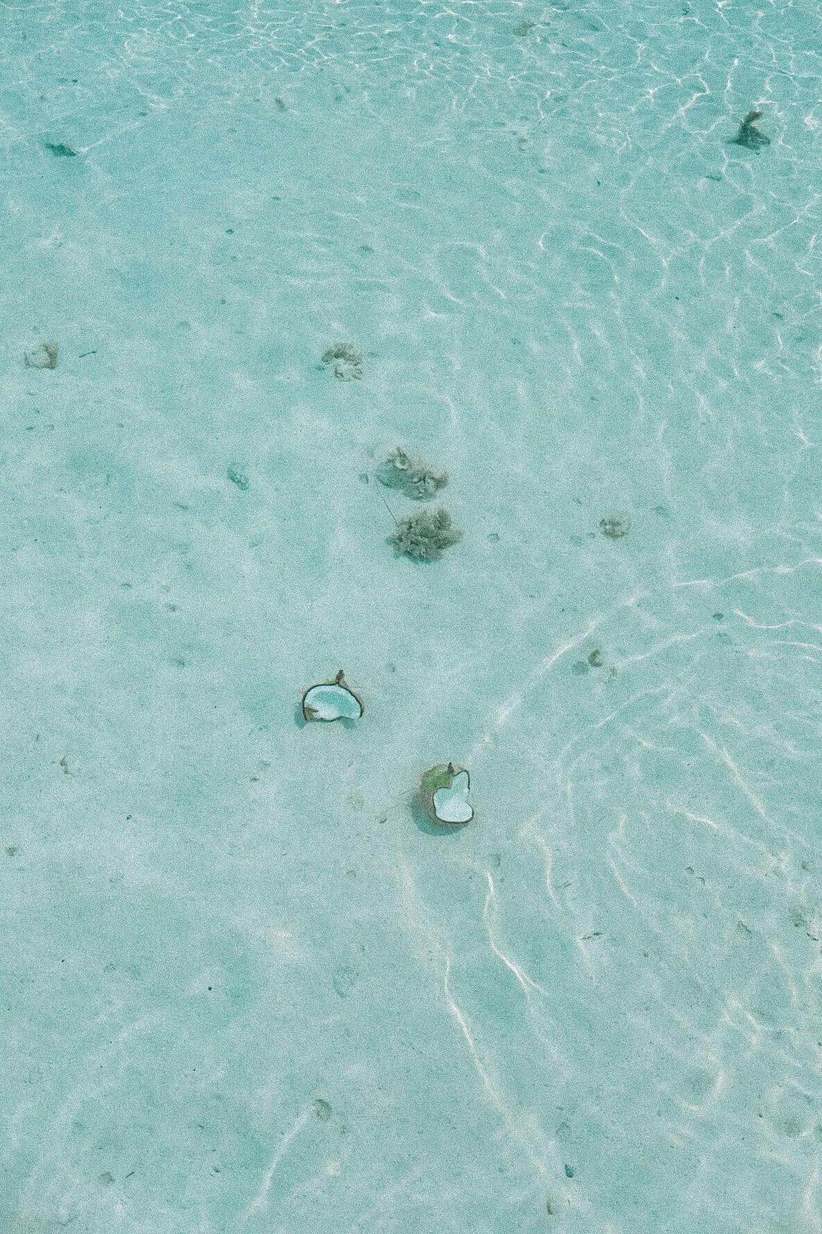 Overboard