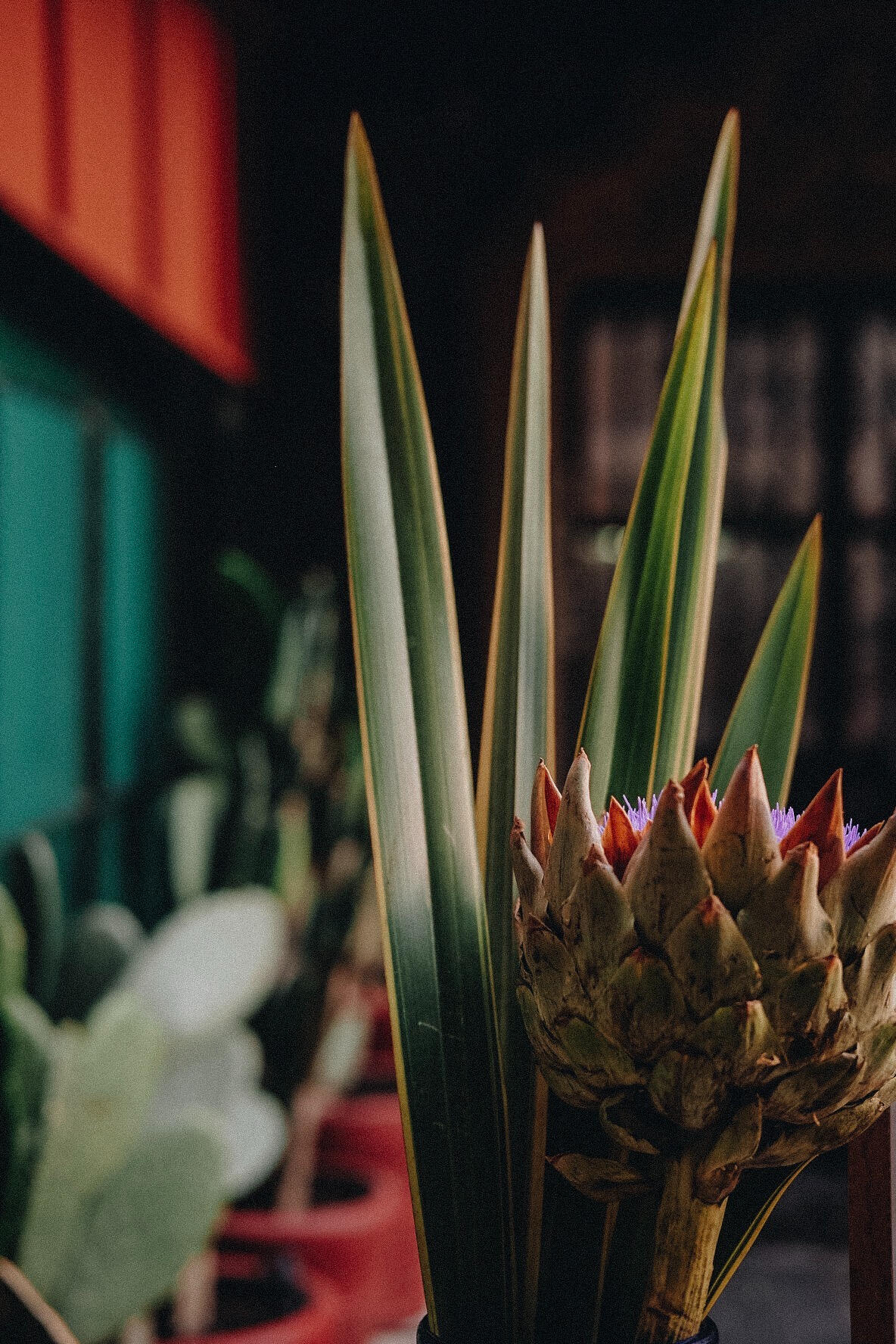 Artichoke