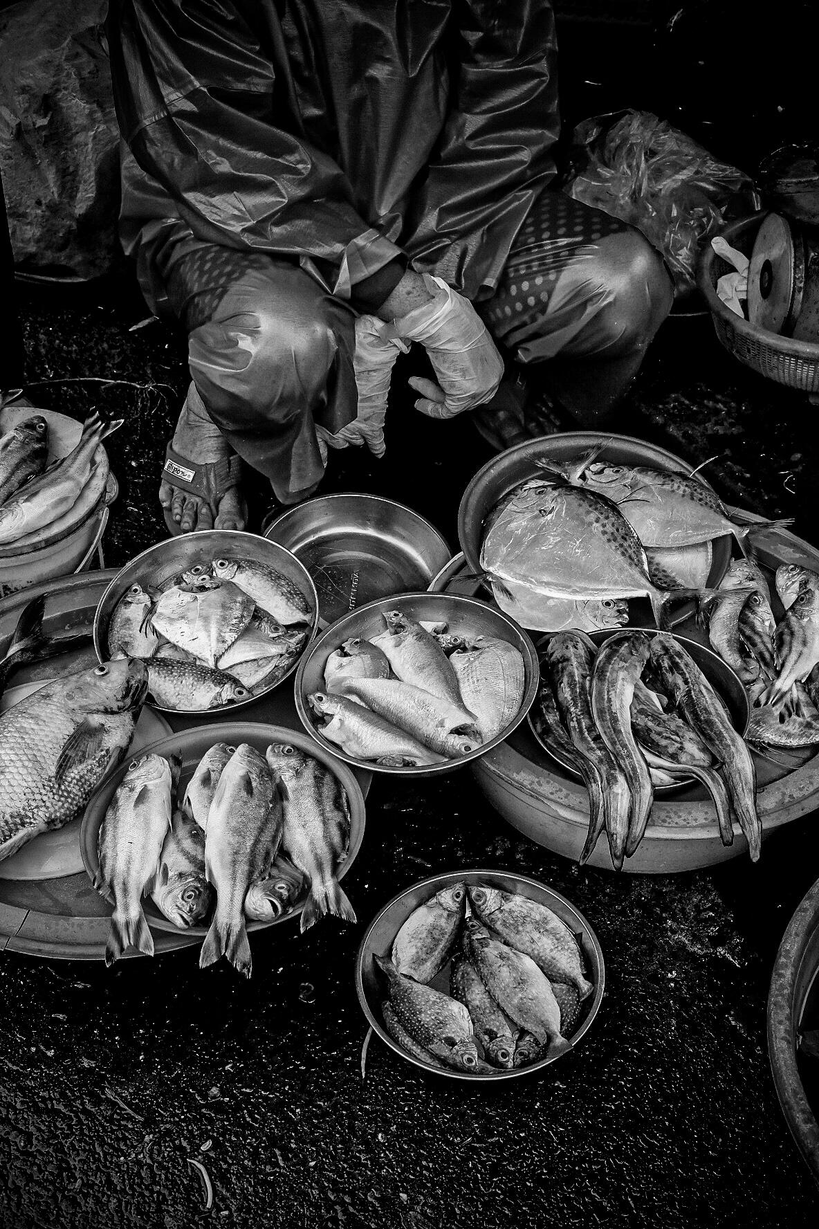 Fresh Catch