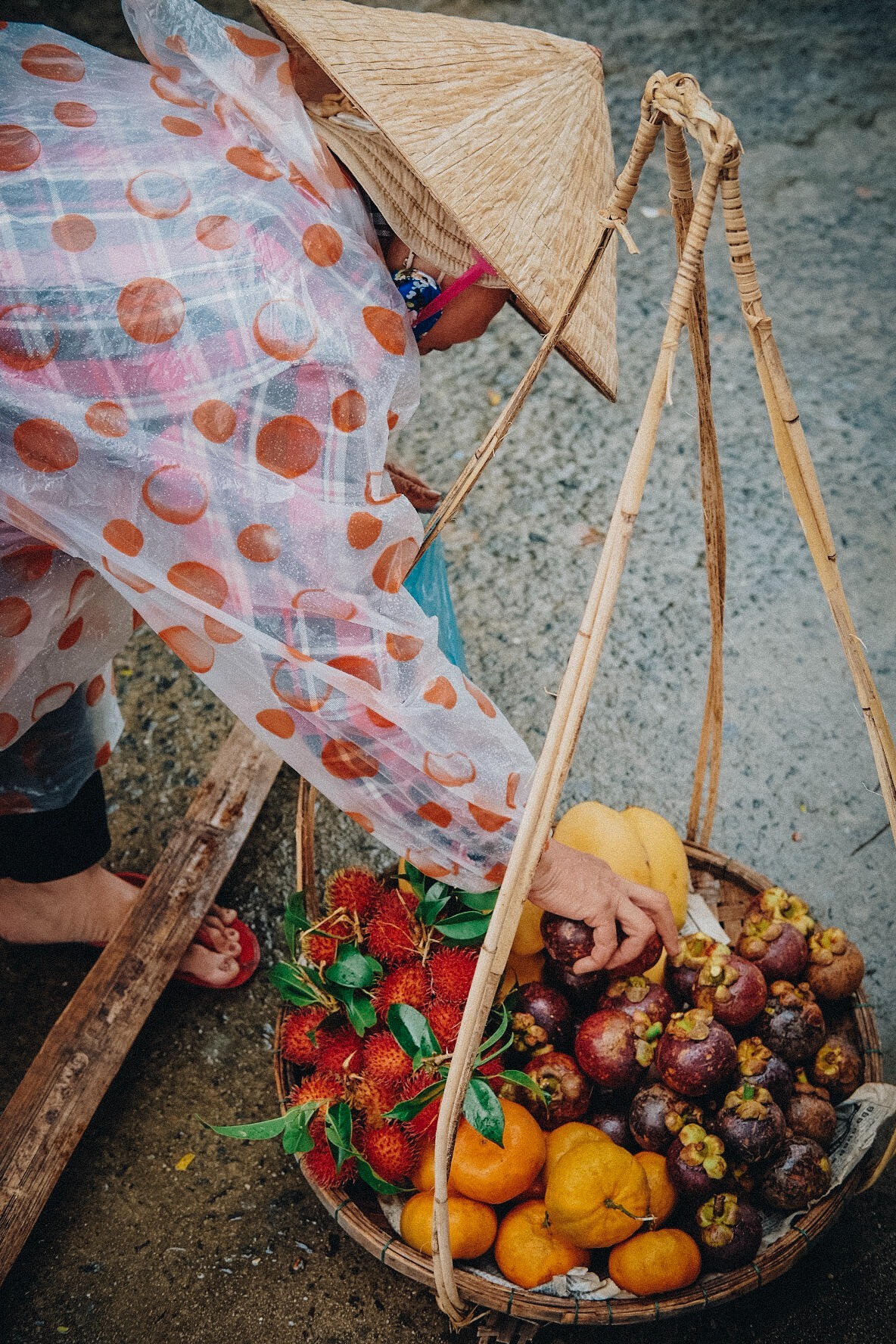 Mangosteen