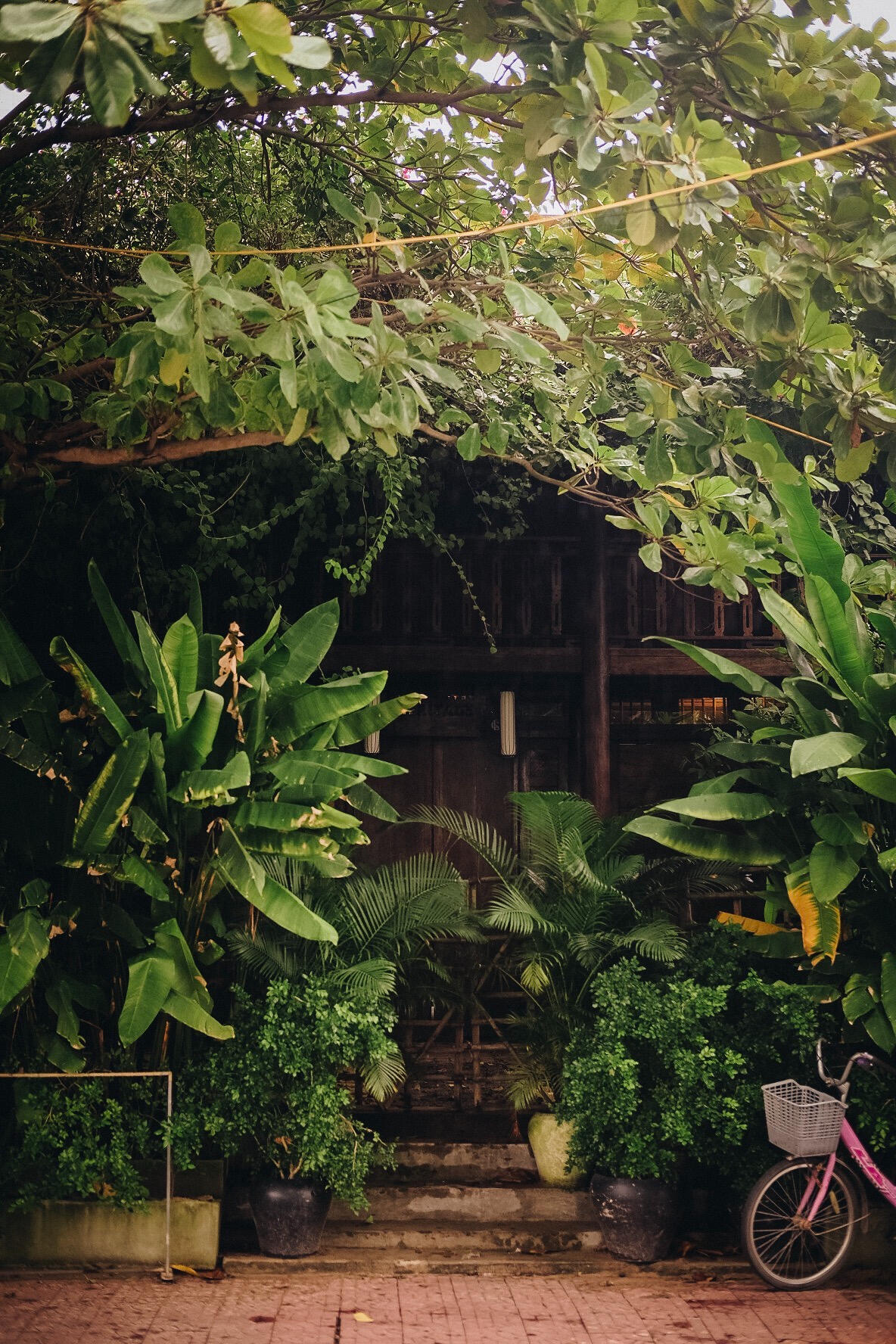 Dream Door